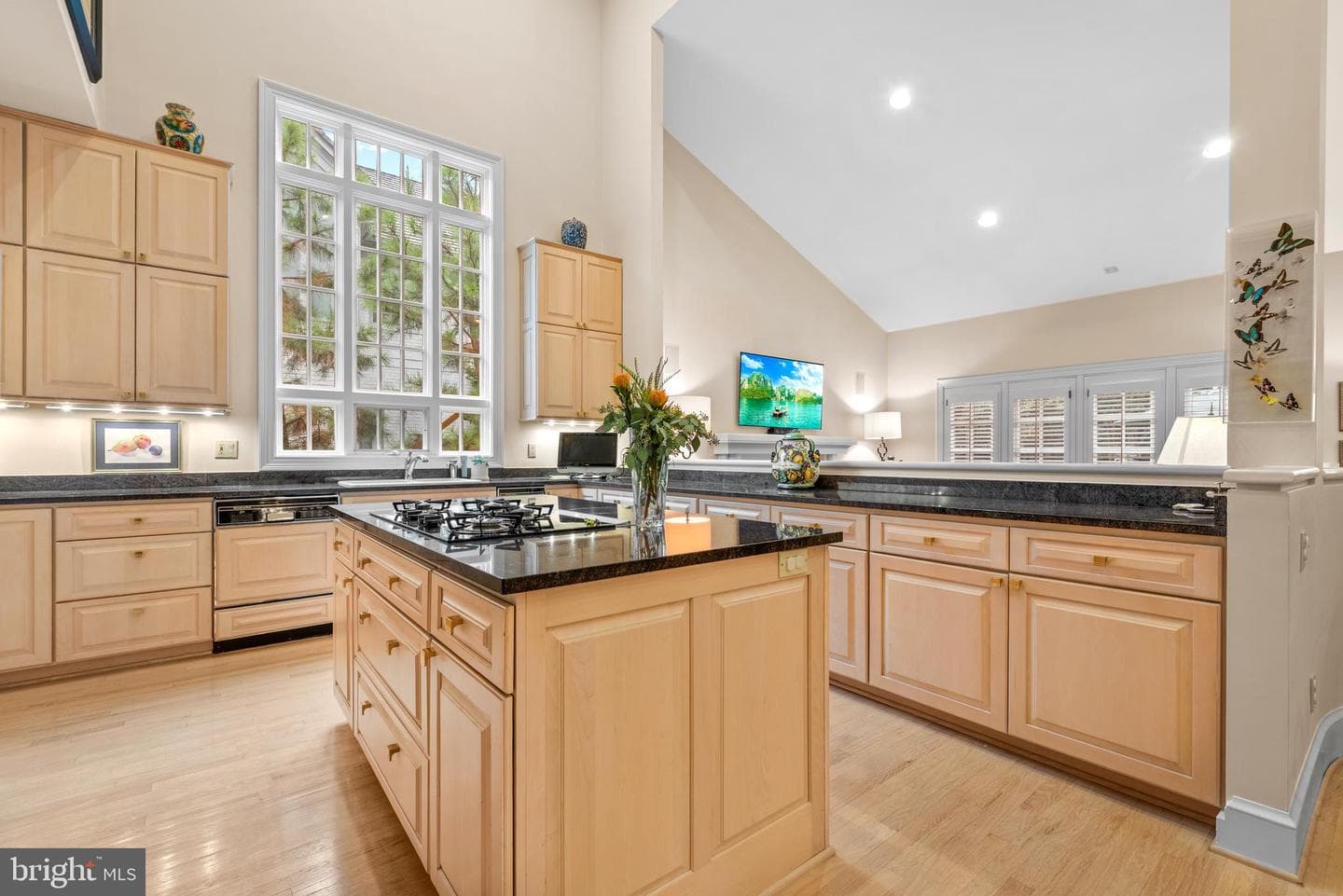 10041 Chartwell Manor Court photo 18
