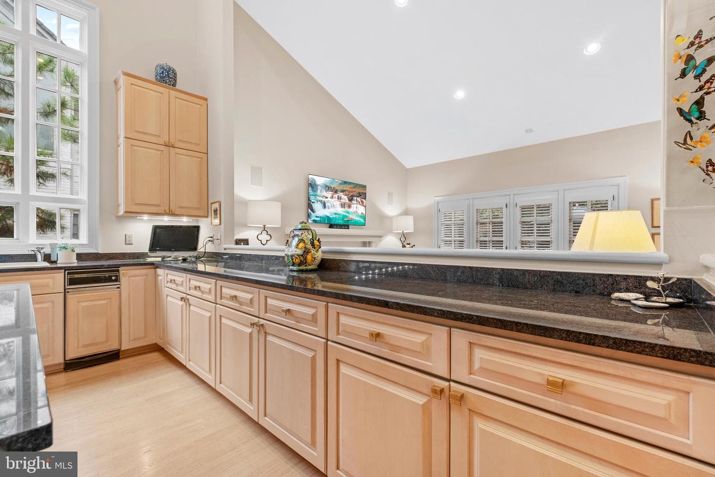 10041 Chartwell Manor Court photo 19