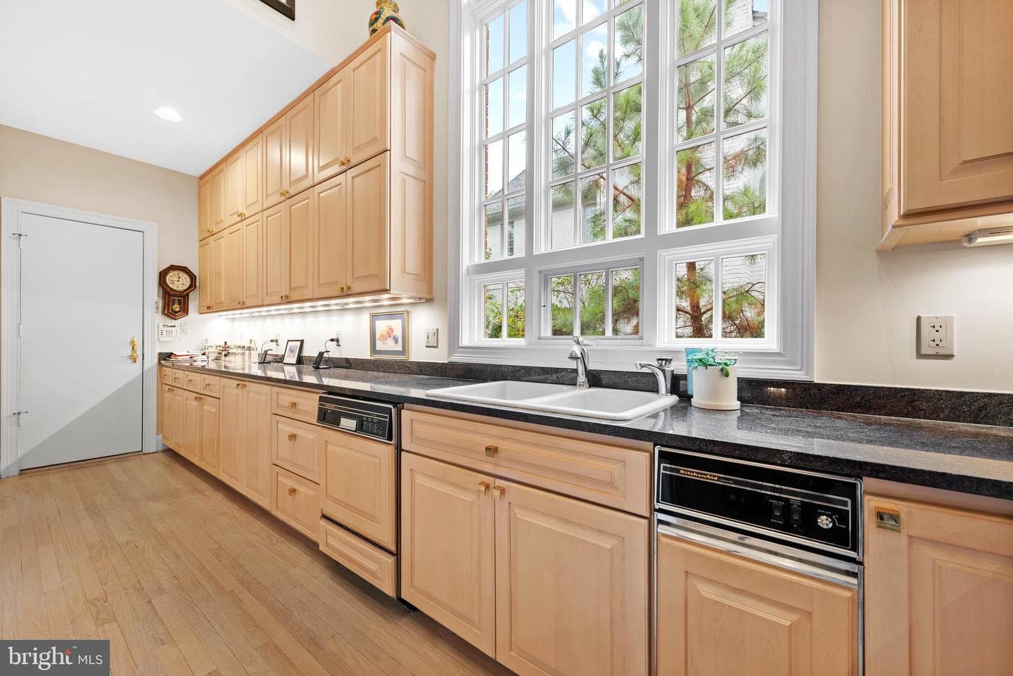 10041 Chartwell Manor Court photo 20