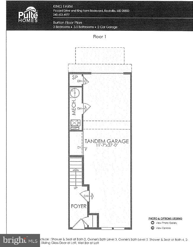 511 Shorthorn Way photo 72