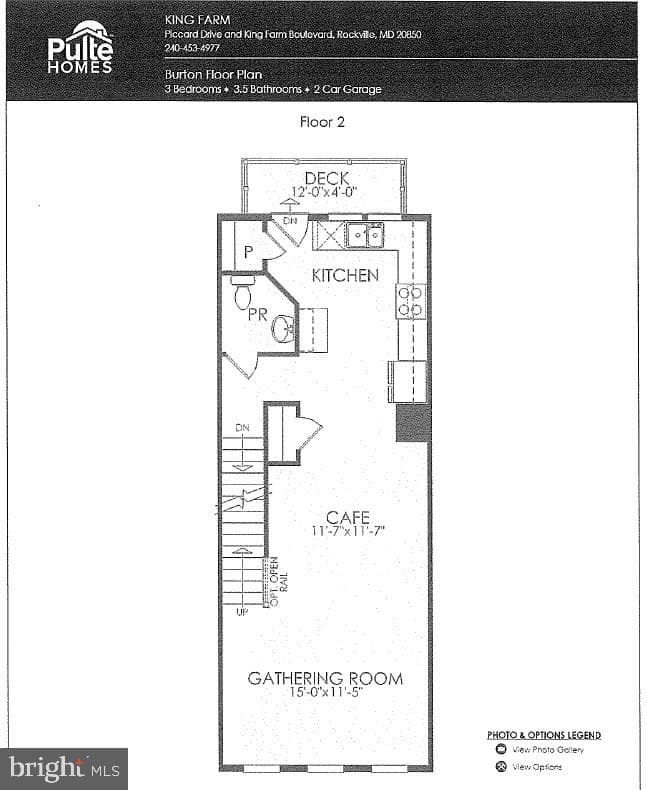 511 Shorthorn Way photo 73