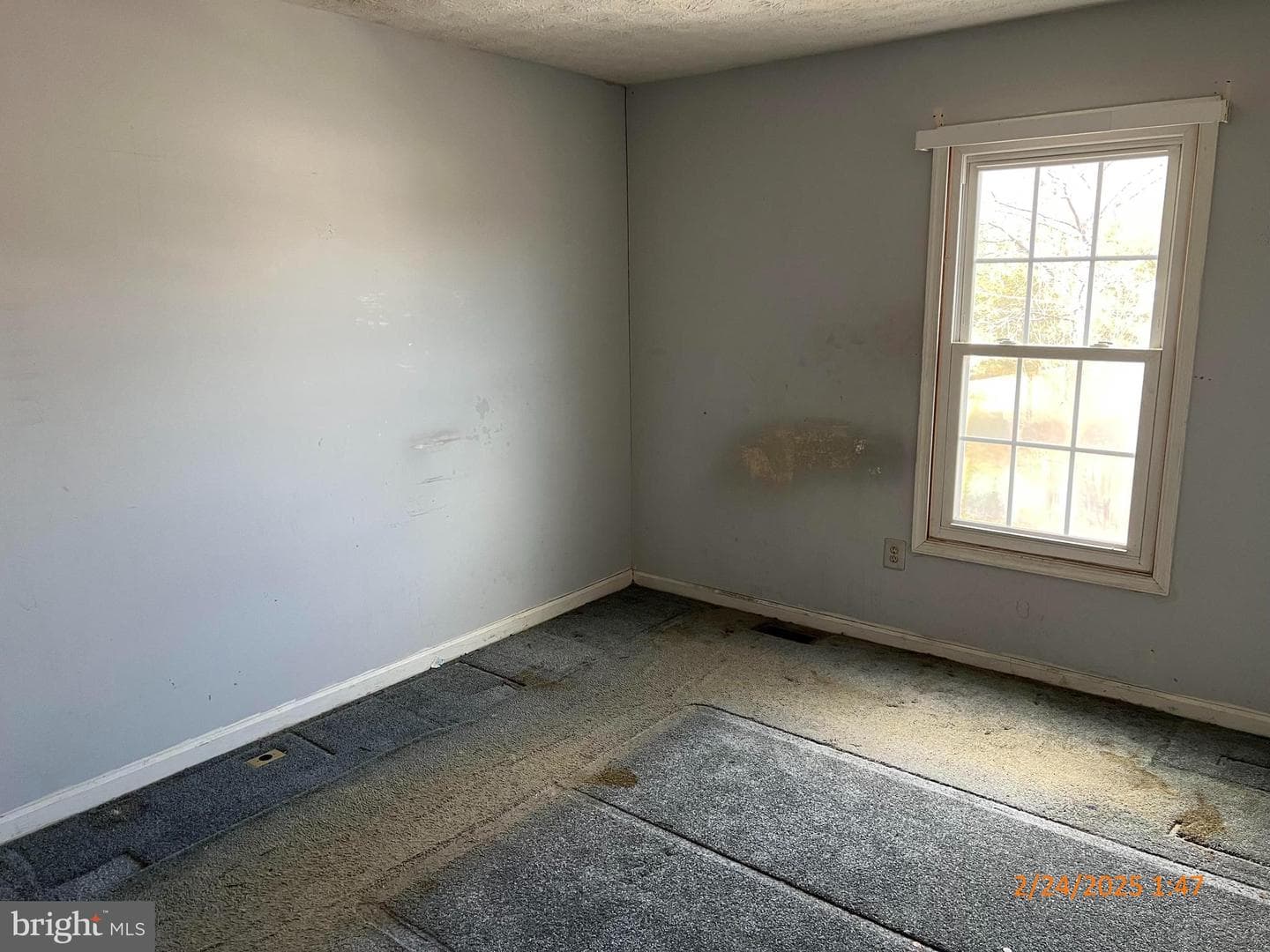 17903 Cottonwood Terrace photo 13