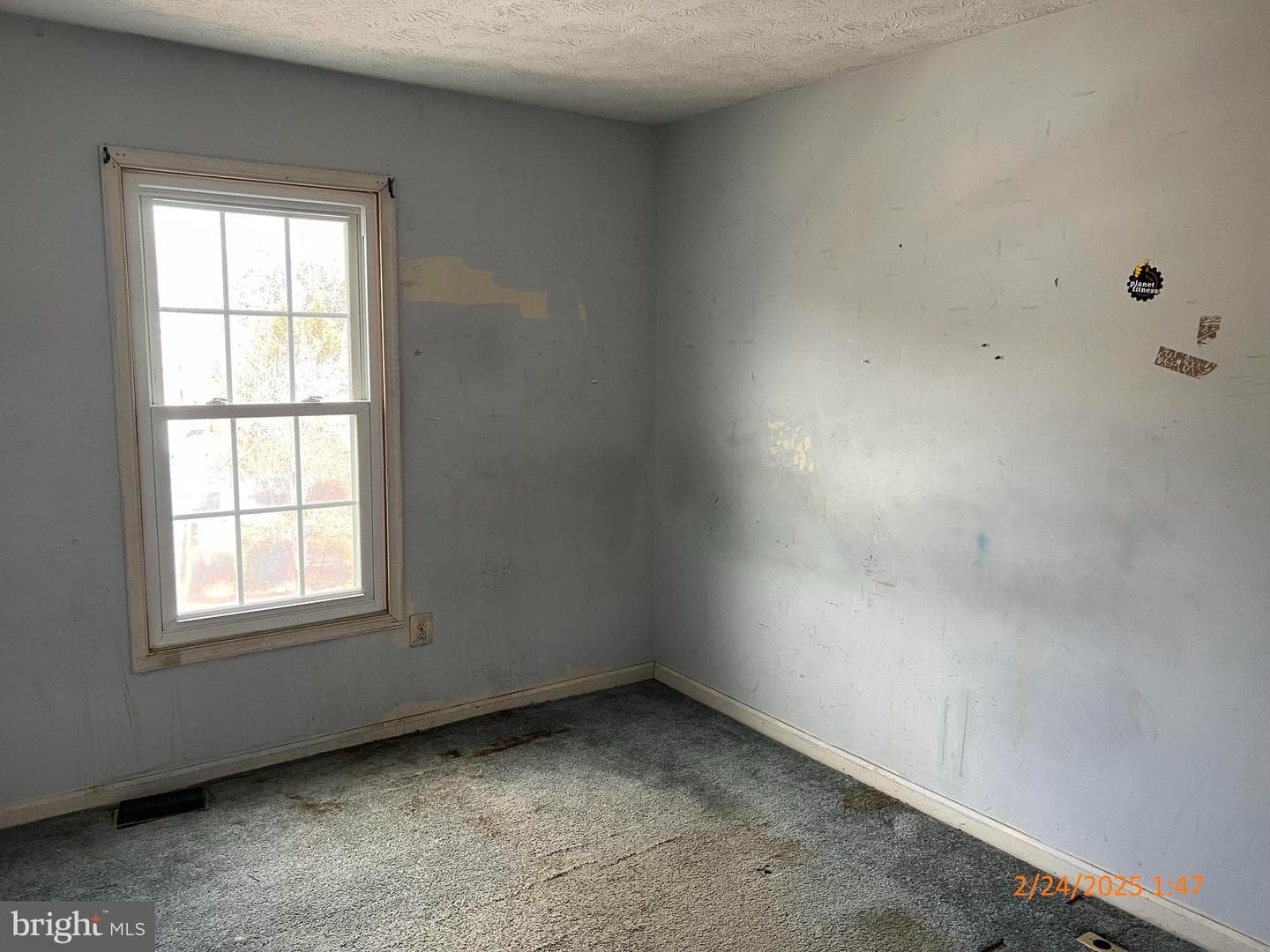17903 Cottonwood Terrace photo 14