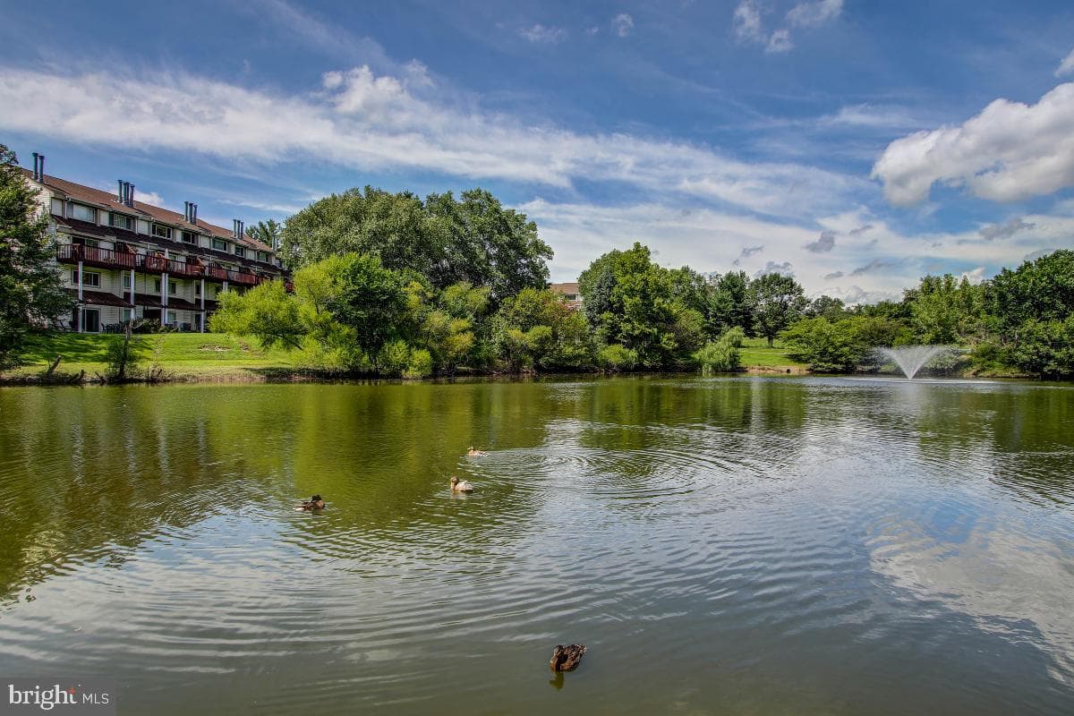 18353 Leman Lake Drive #804 photo 38