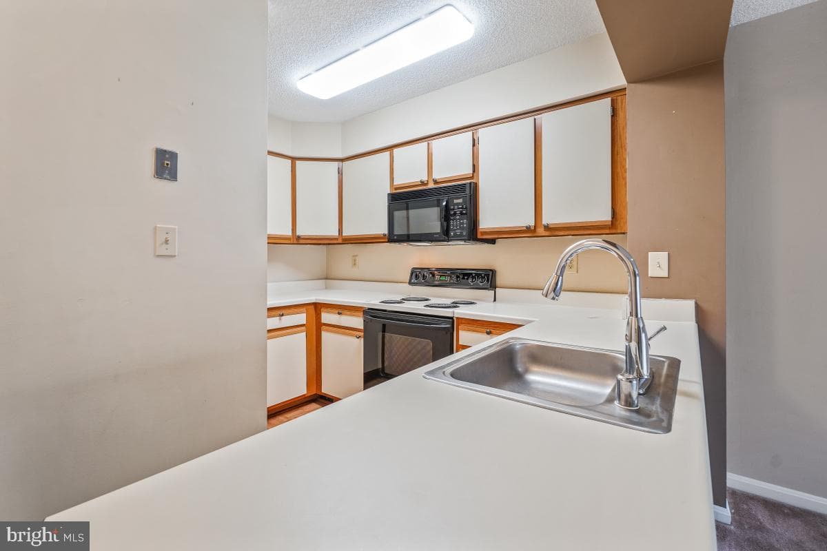 18353 Leman Lake Drive #804 photo 6