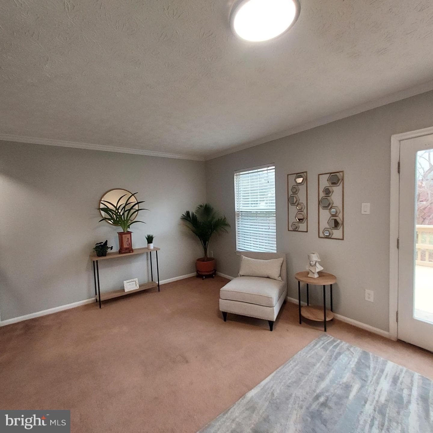 656 Coral Reef Drive photo 11