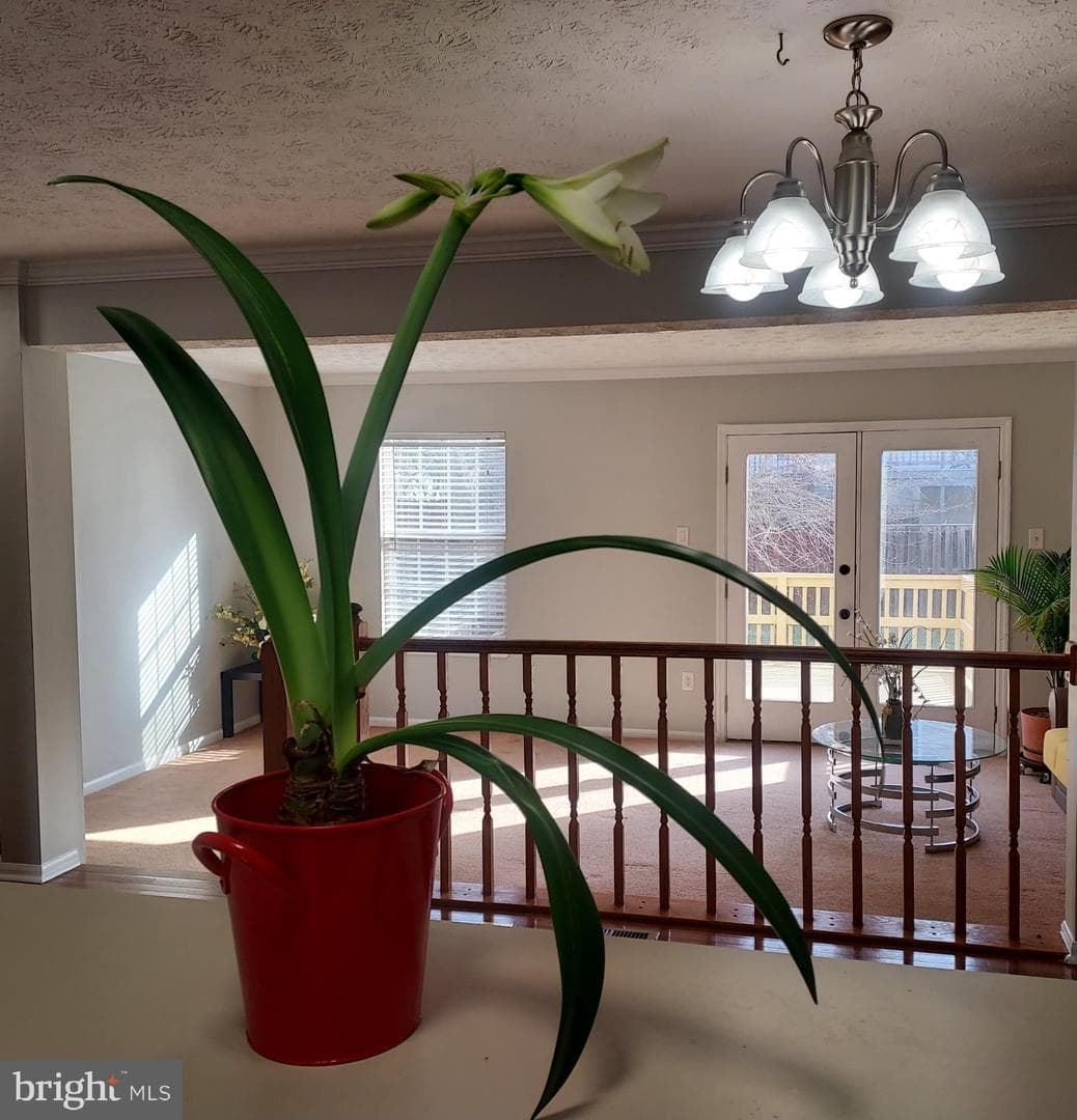 656 Coral Reef Drive photo 7
