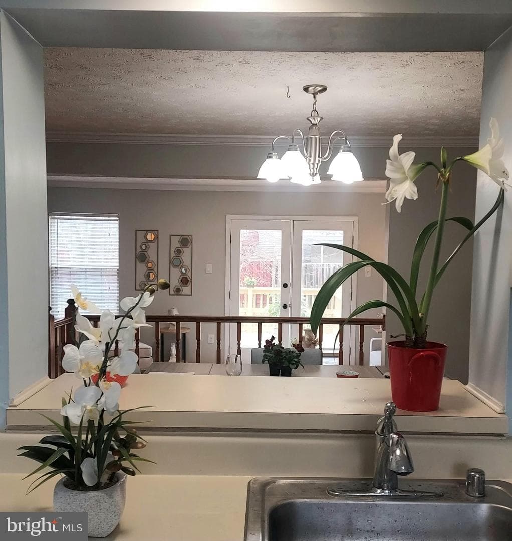 656 Coral Reef Drive photo 8