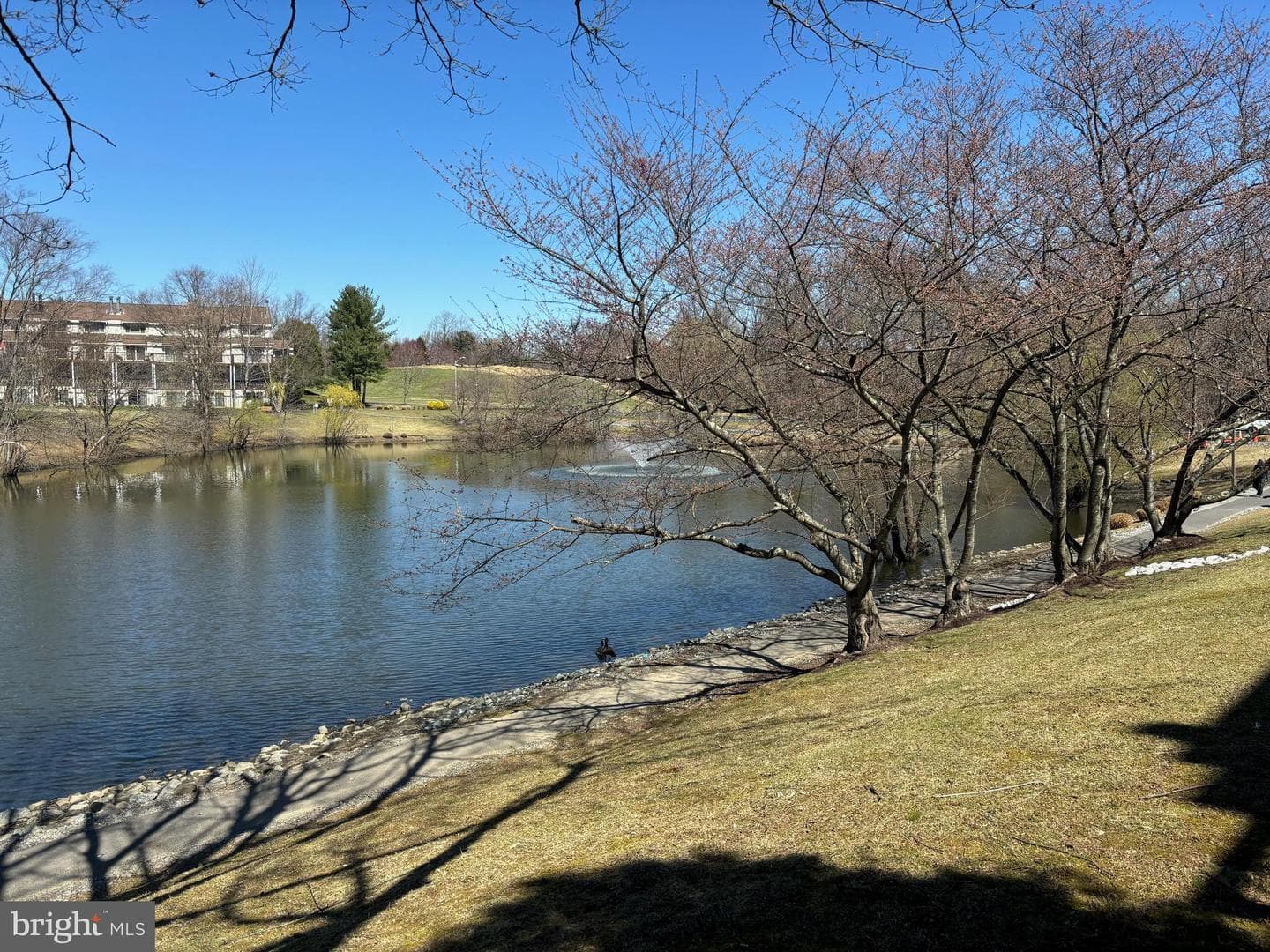 18260 Windsor Hill Drive #401a photo 44