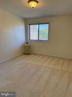 10860 Bucknell Drive #301 photo 19
