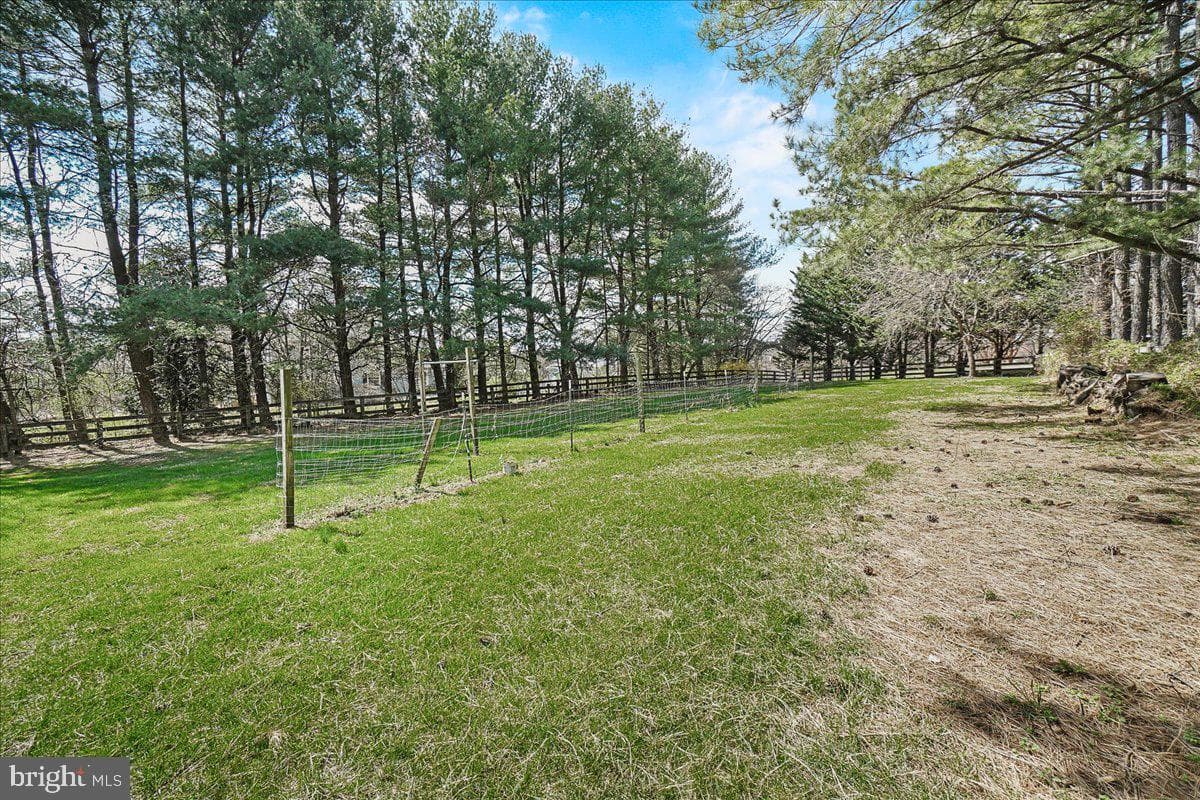 11109 Watkins Road photo 65