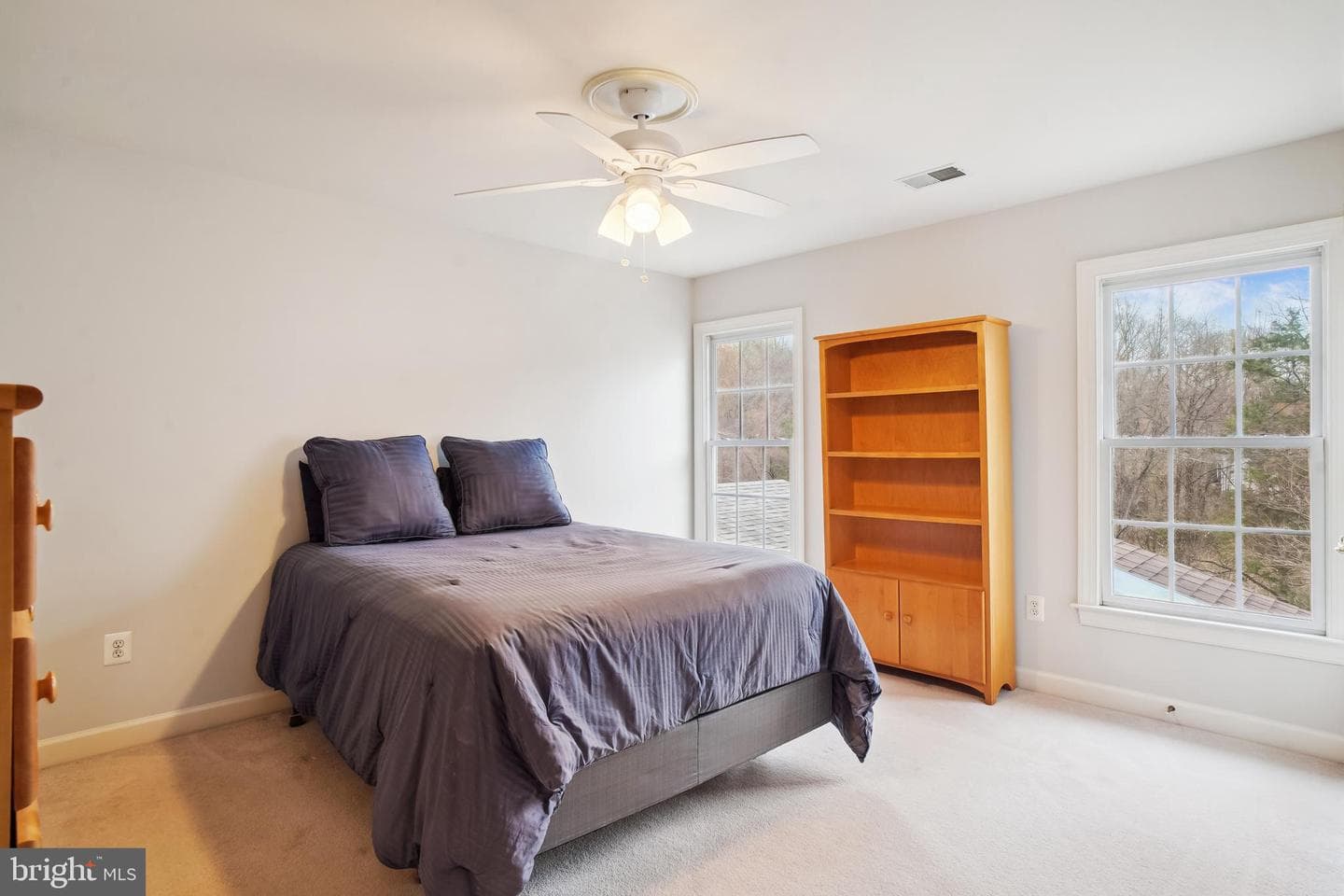 14003 Gray Birch Way photo 29