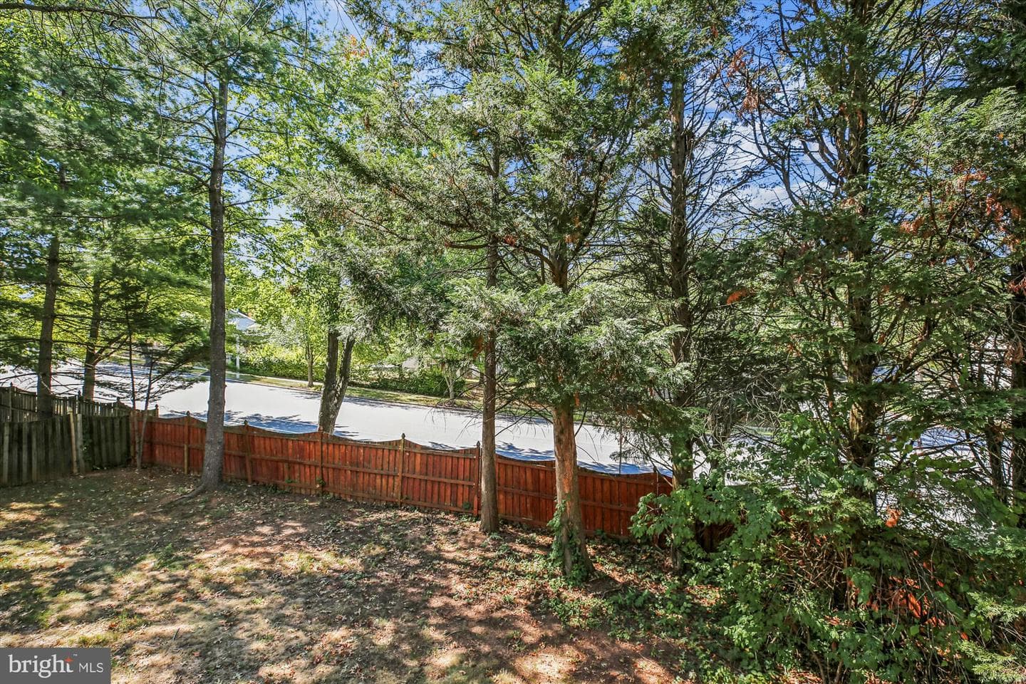 11528 Dragonfire Way photo 53