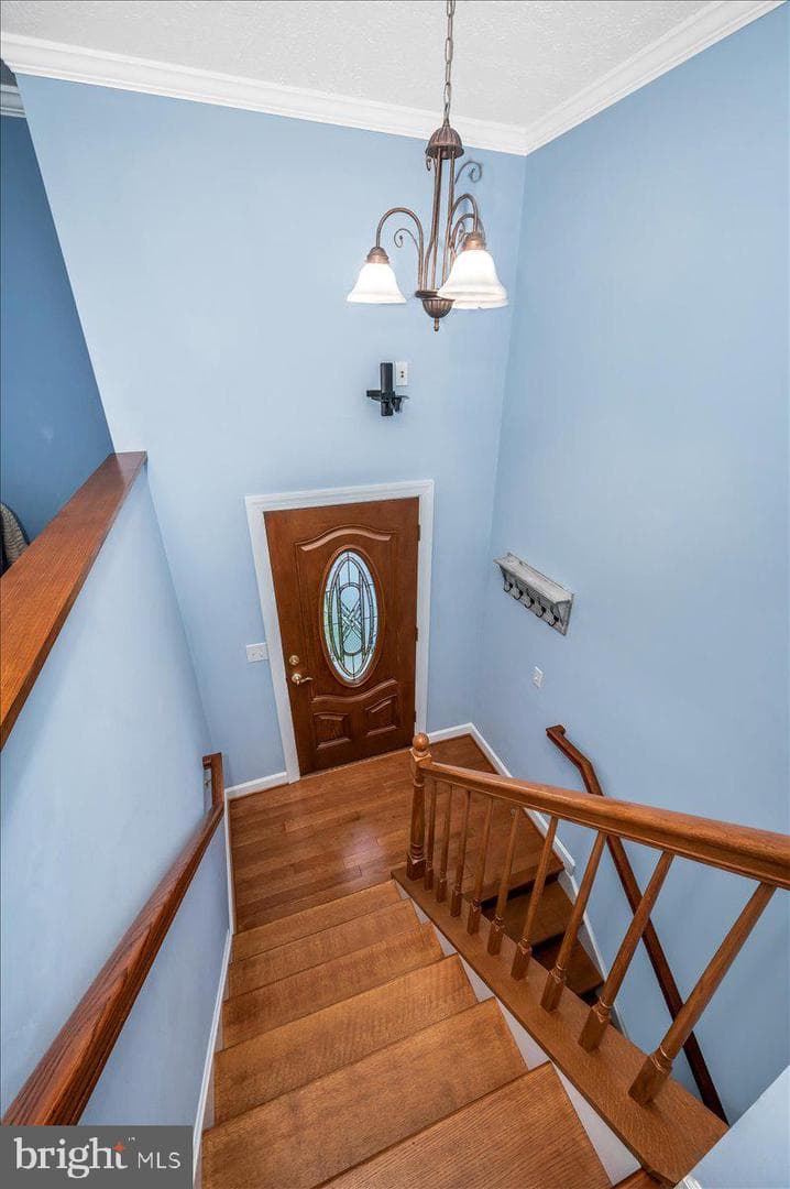 12109 Sioux Place photo 81
