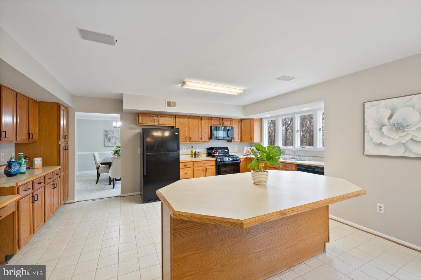 11314 Kings Valley Drive photo 19