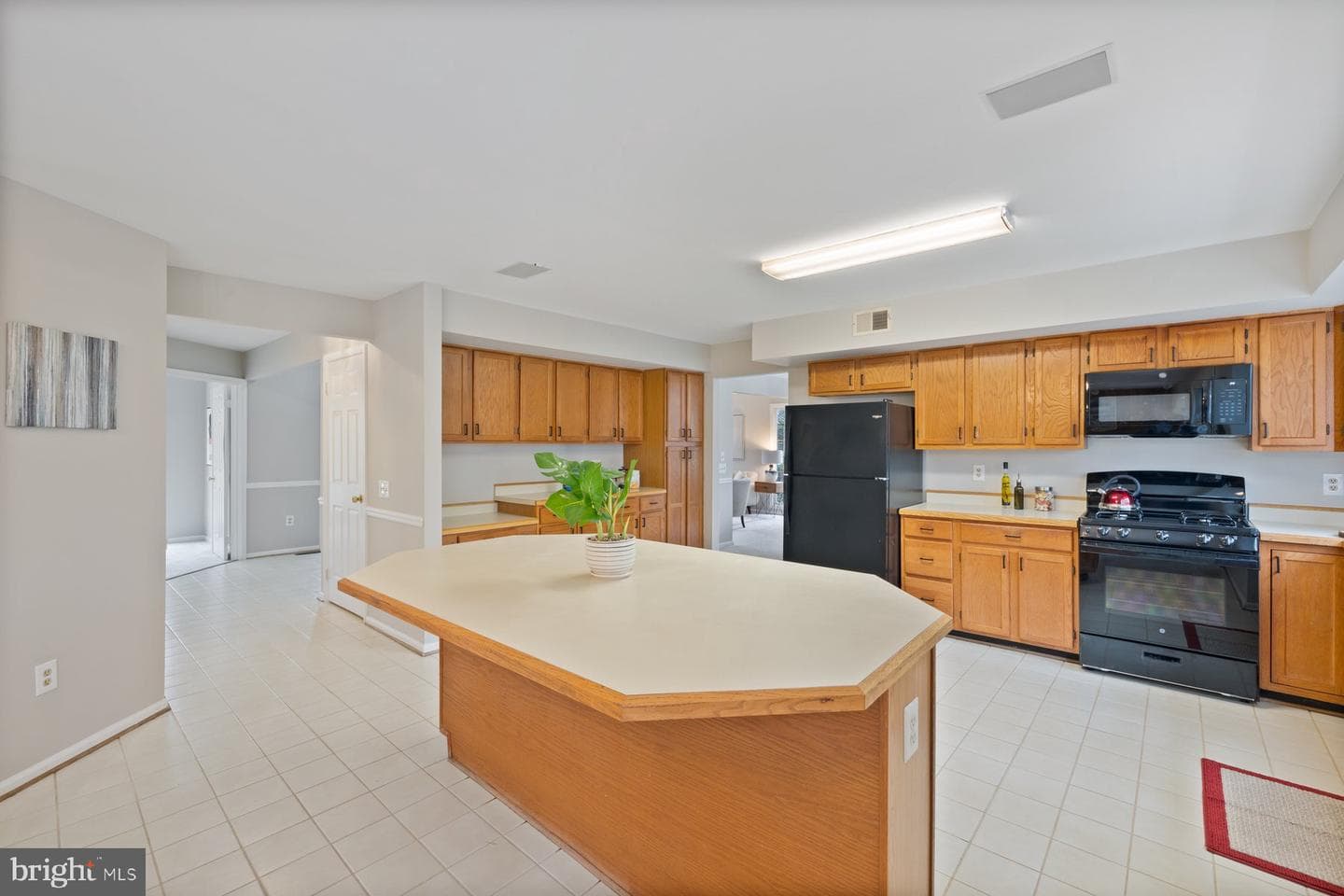 11314 Kings Valley Drive photo 20