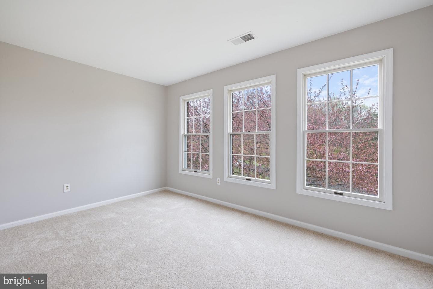 11314 Kings Valley Drive photo 42