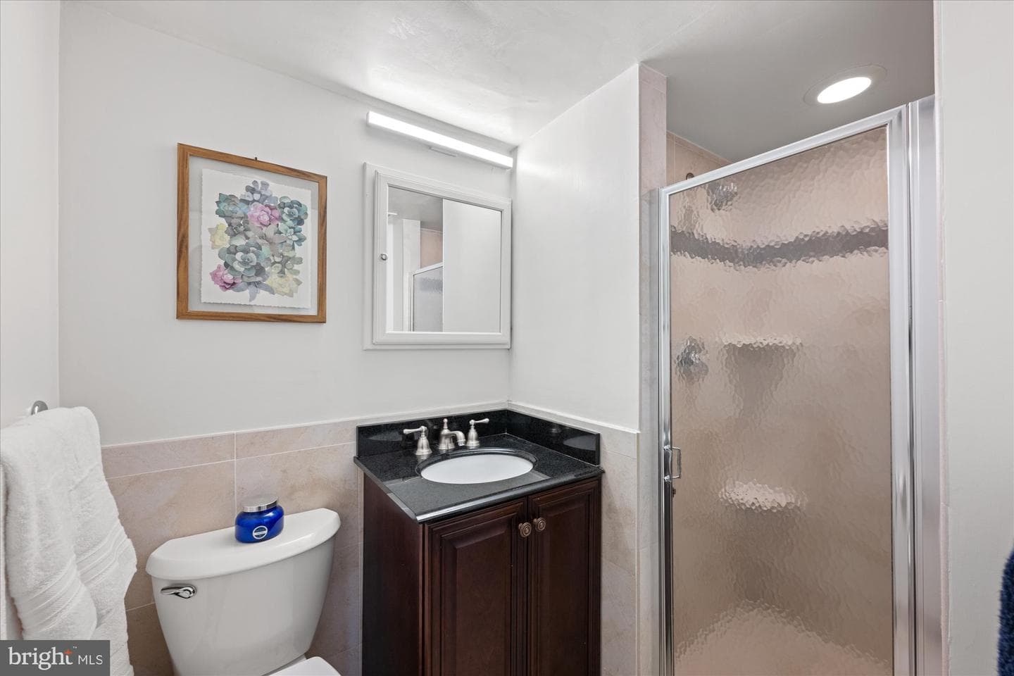 7523 Spring Lake Drive #c2 photo 20