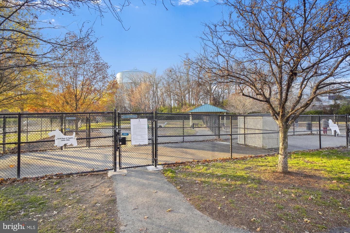 401 King Farm Boulevard #201 photo 30