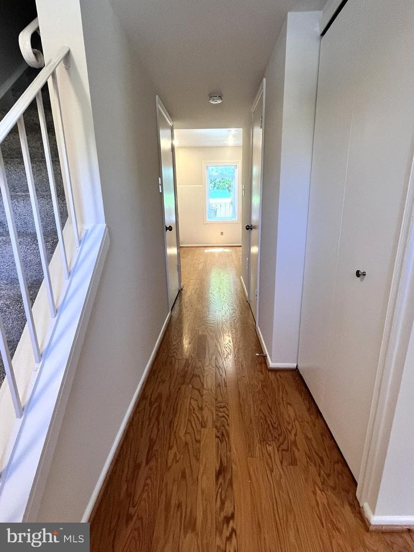 13 Chantilly Court photo 18