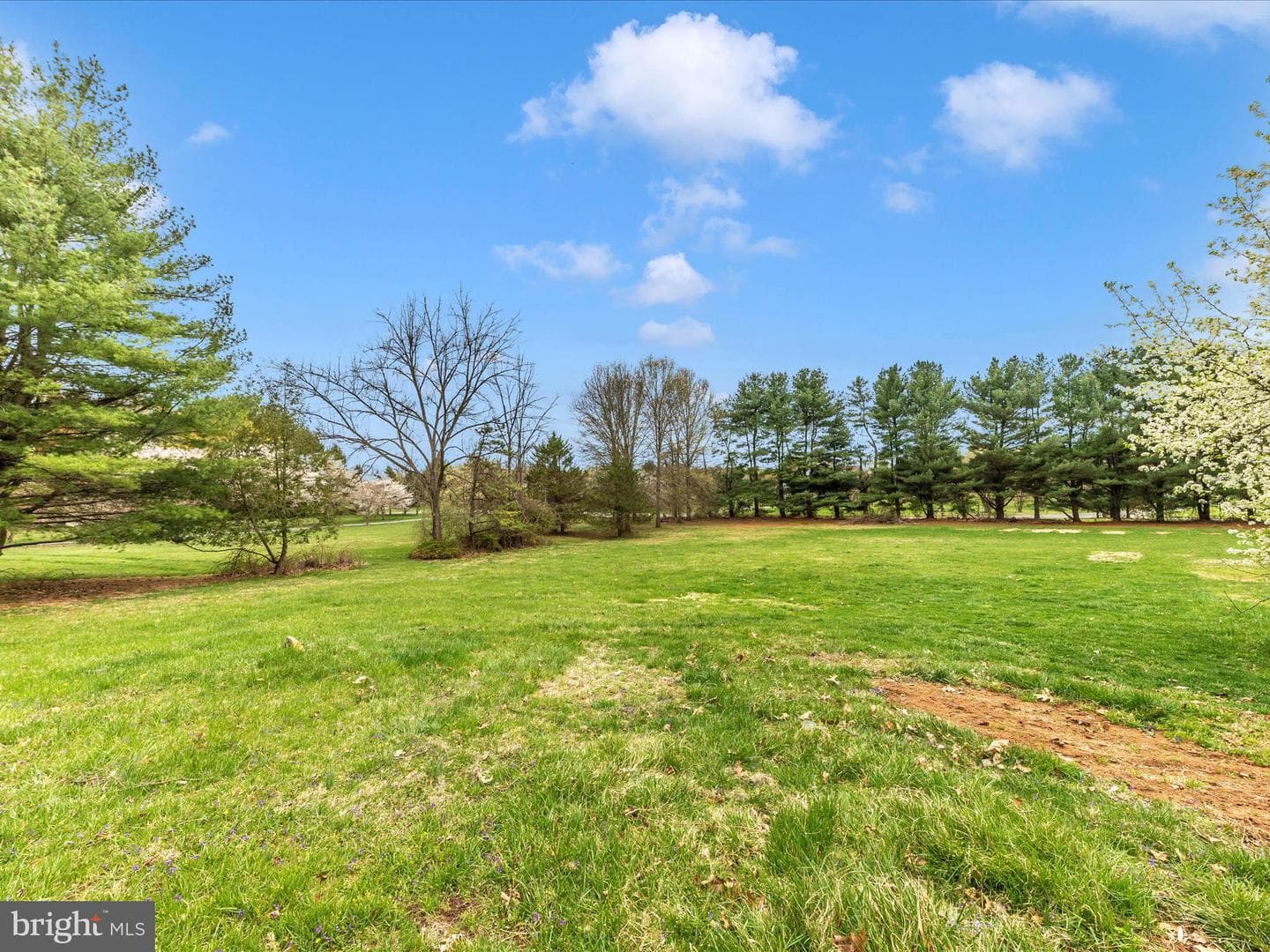 9513 Huntmaster Road photo 41