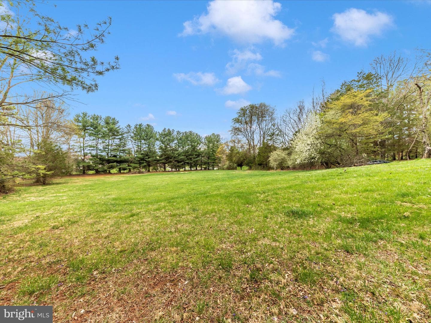 9513 Huntmaster Road photo 42