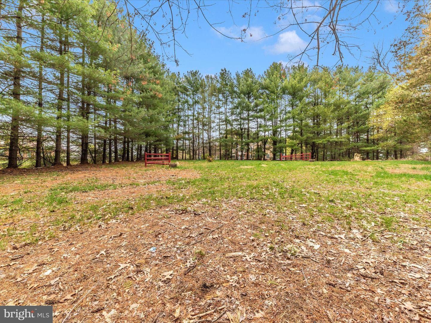 9513 Huntmaster Road photo 48