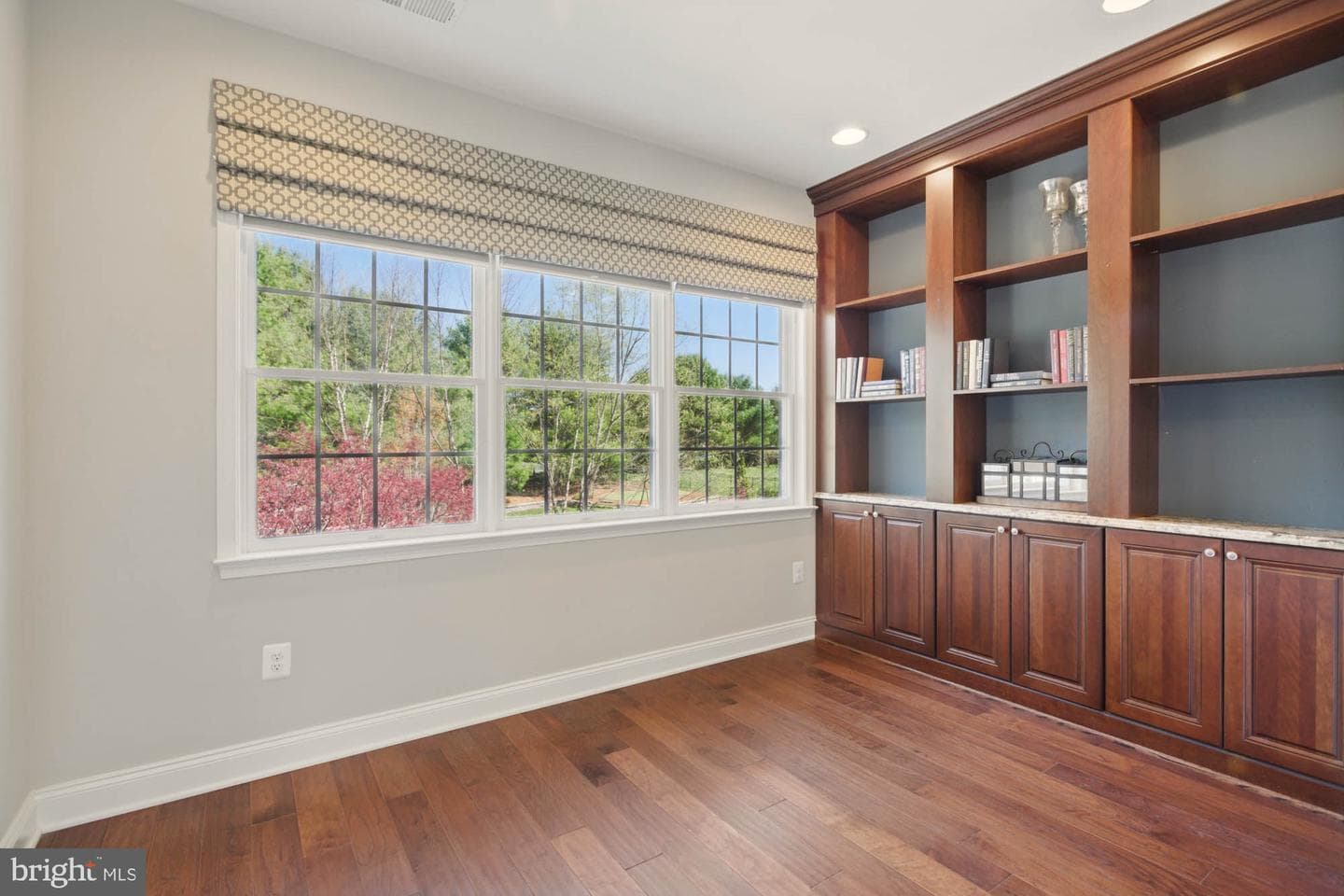 133 Brimstone Academy Court photo 47