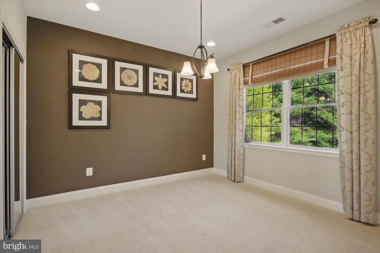 133 Brimstone Academy Court photo 65