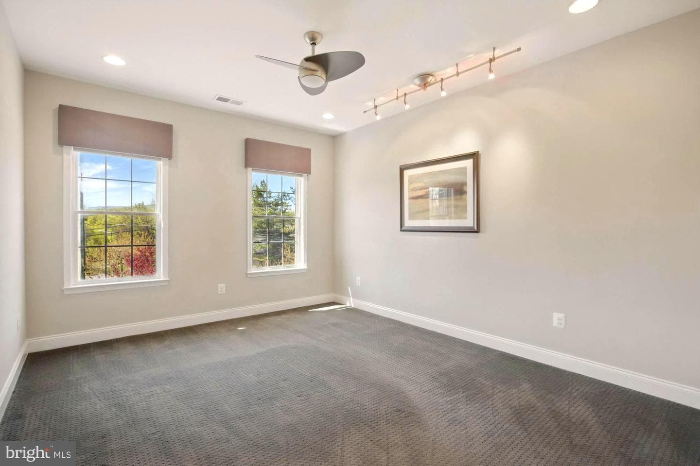 133 Brimstone Academy Court photo 71