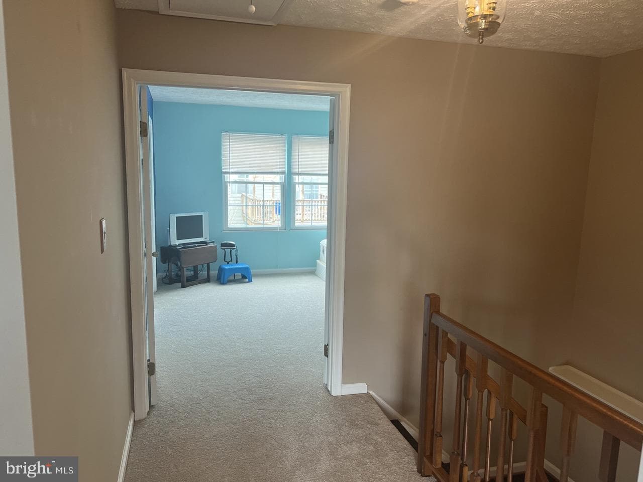 12416 Port Haven Drive photo 18