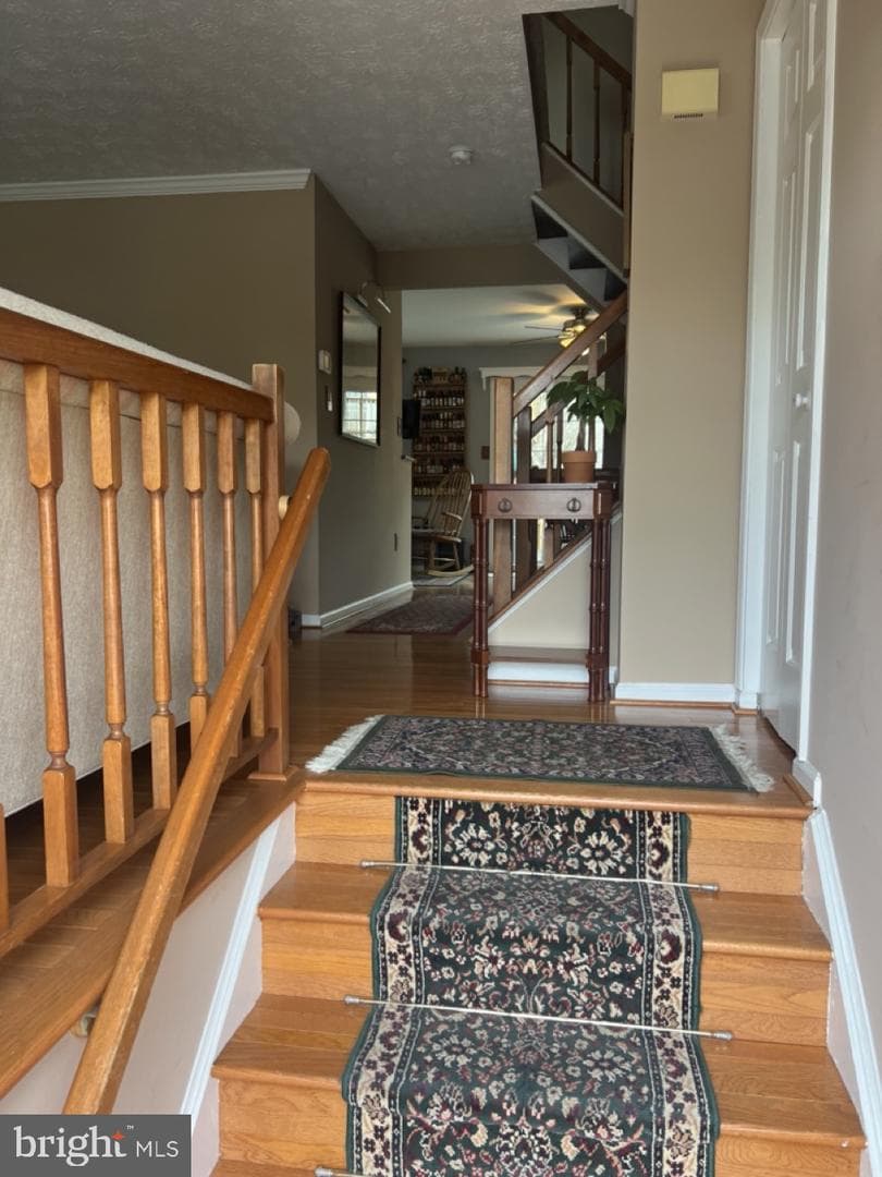 12416 Port Haven Drive photo 25