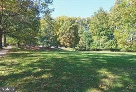 10601 Weymouth Street #204 photo 23