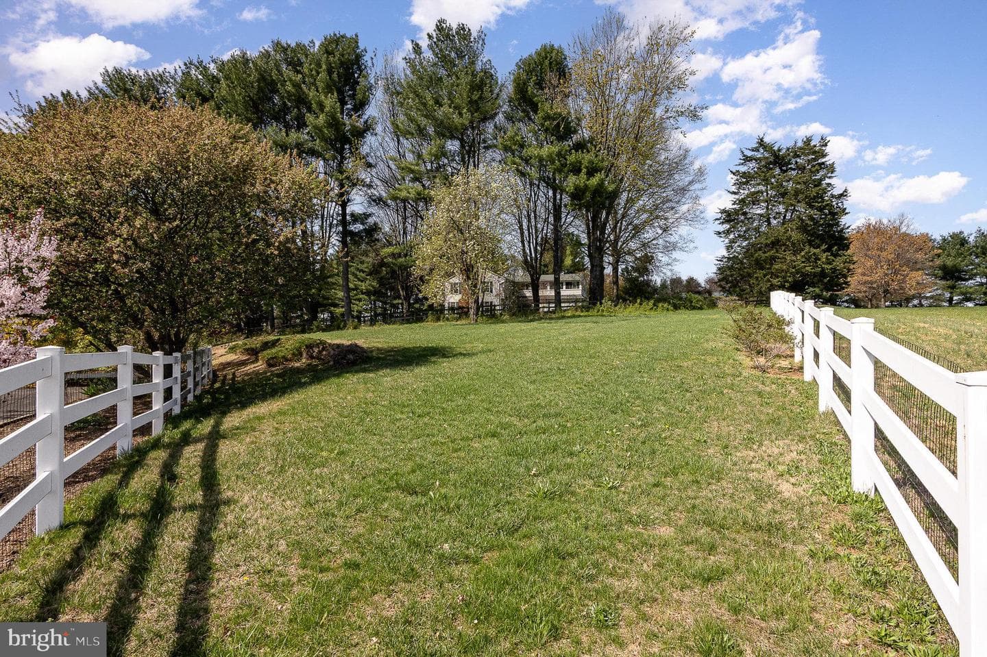 7421 Hawkins Creamery Road photo 39