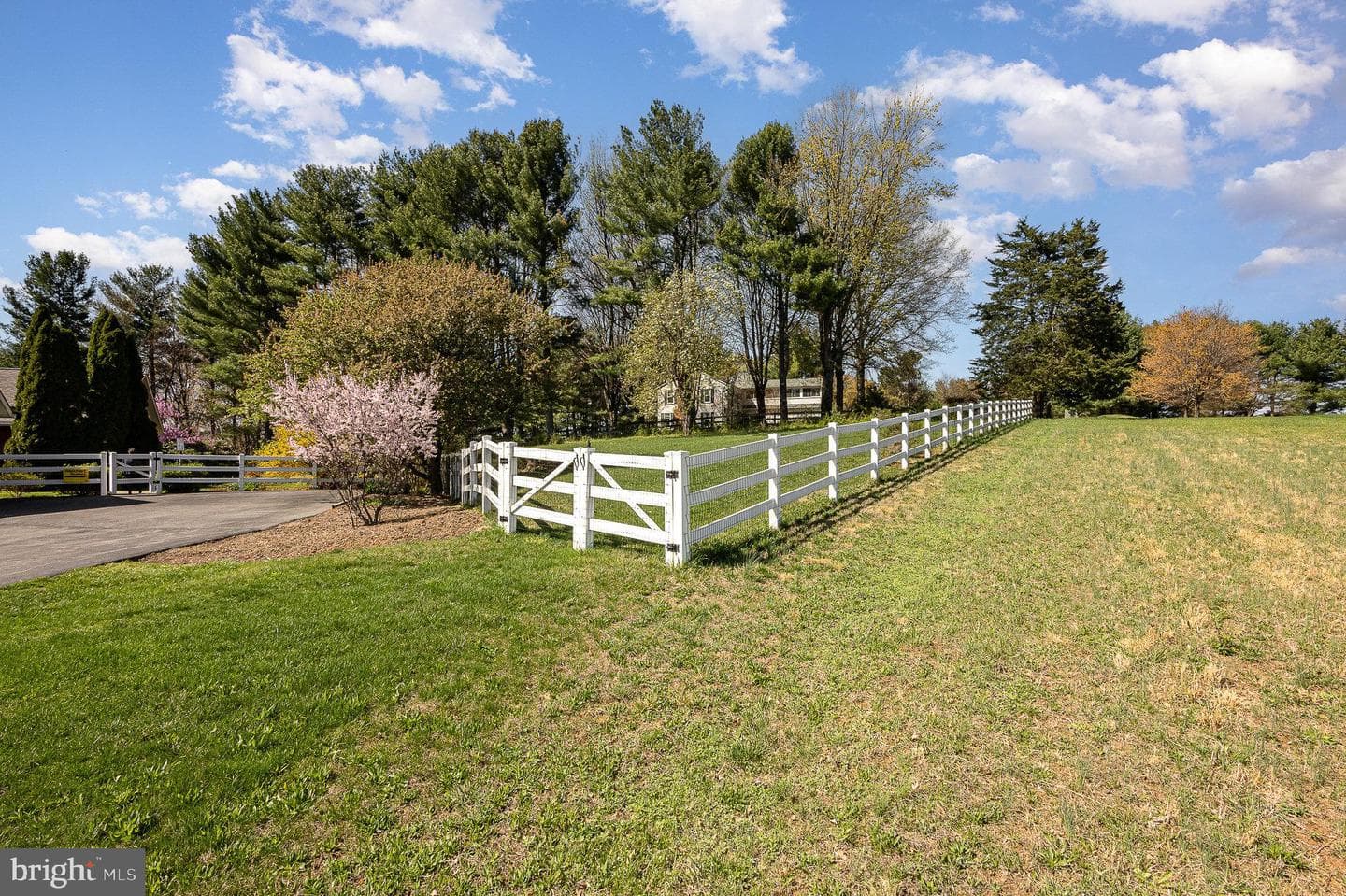 7421 Hawkins Creamery Road photo 40