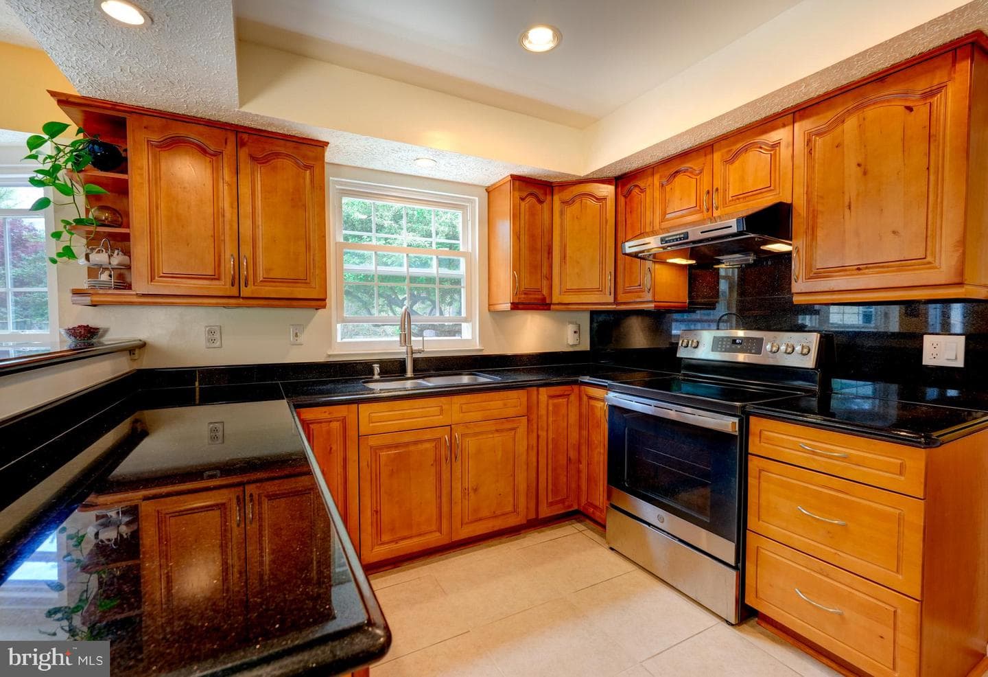 11628 Paramus Drive photo 21