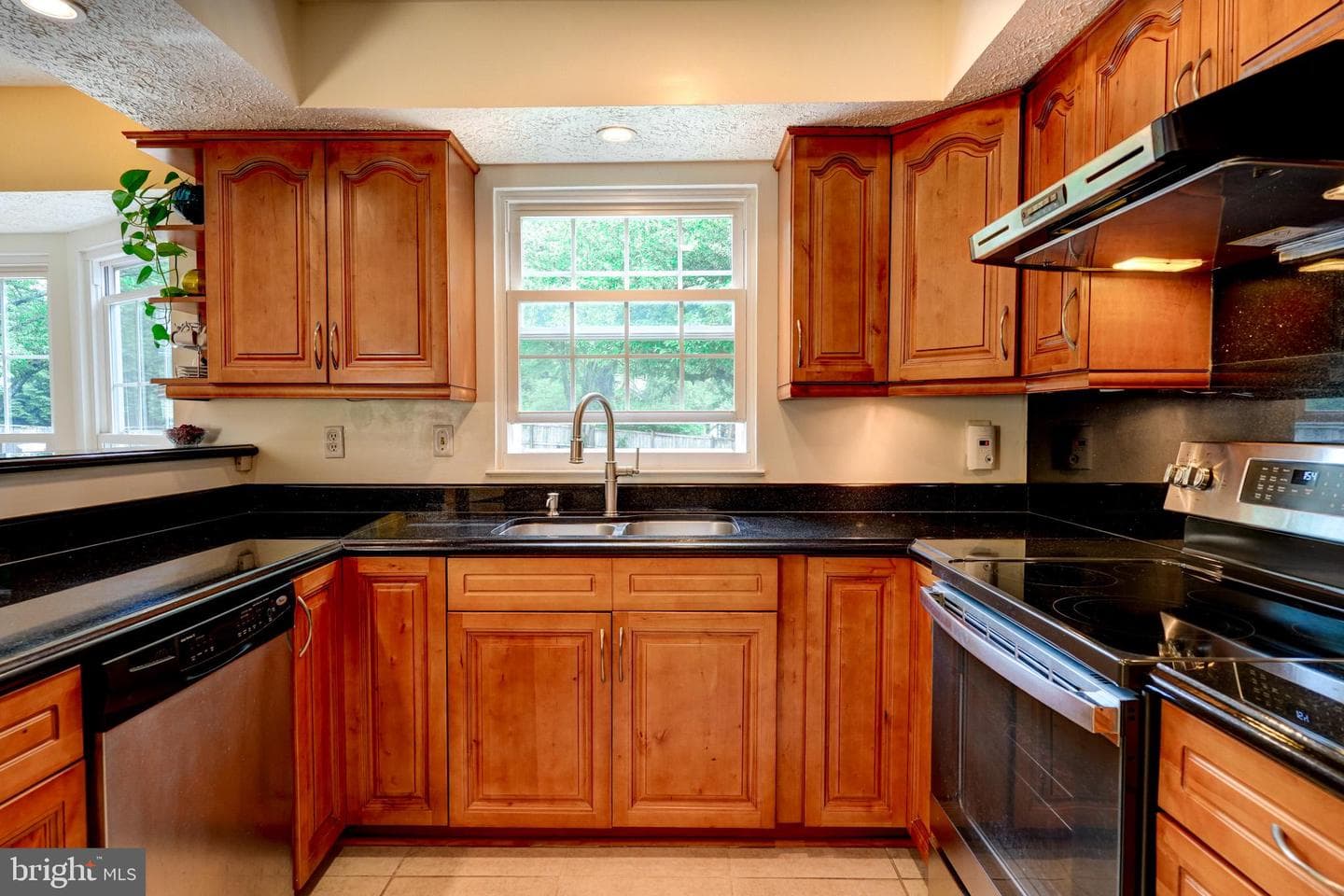 11628 Paramus Drive photo 24