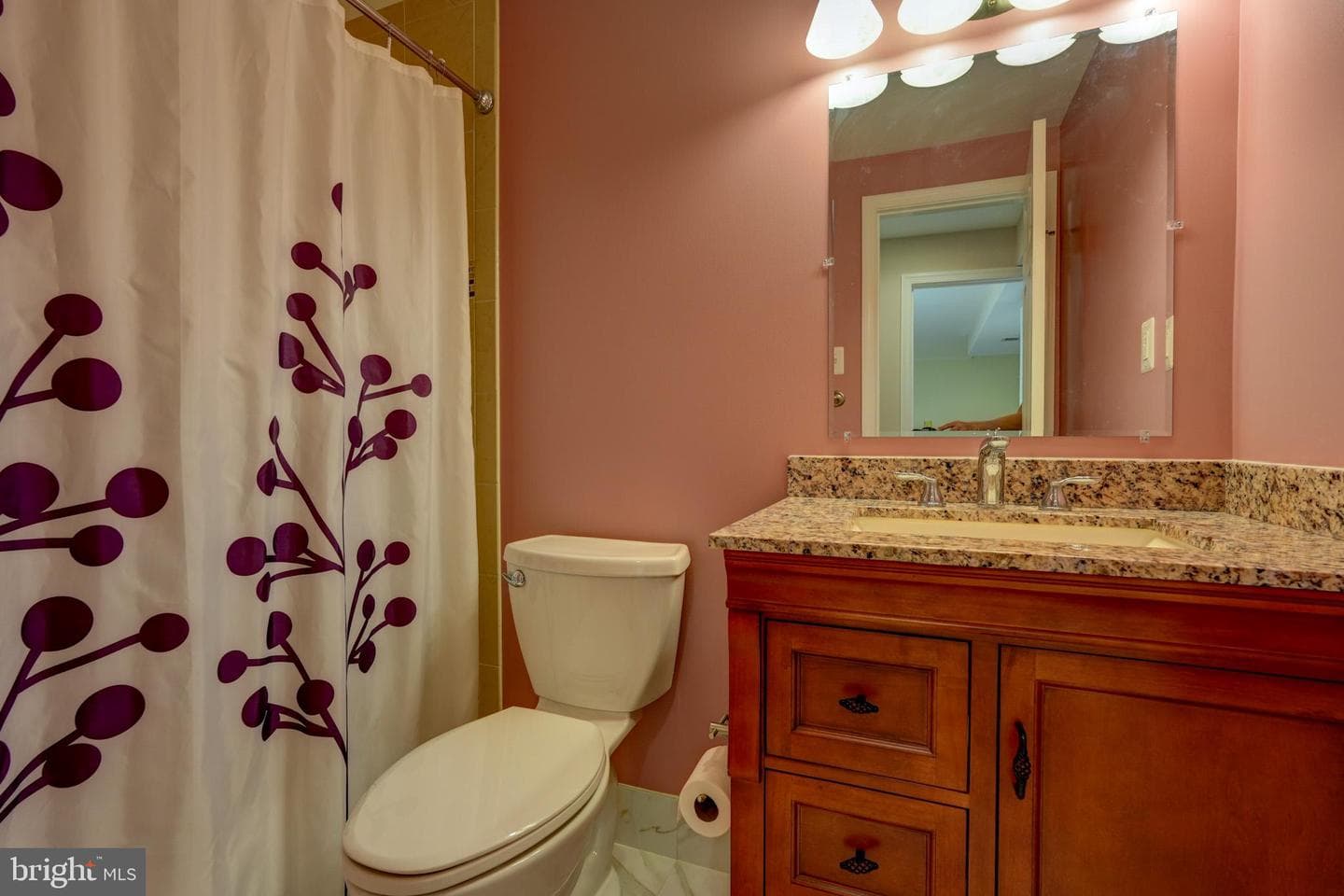 11628 Paramus Drive photo 54