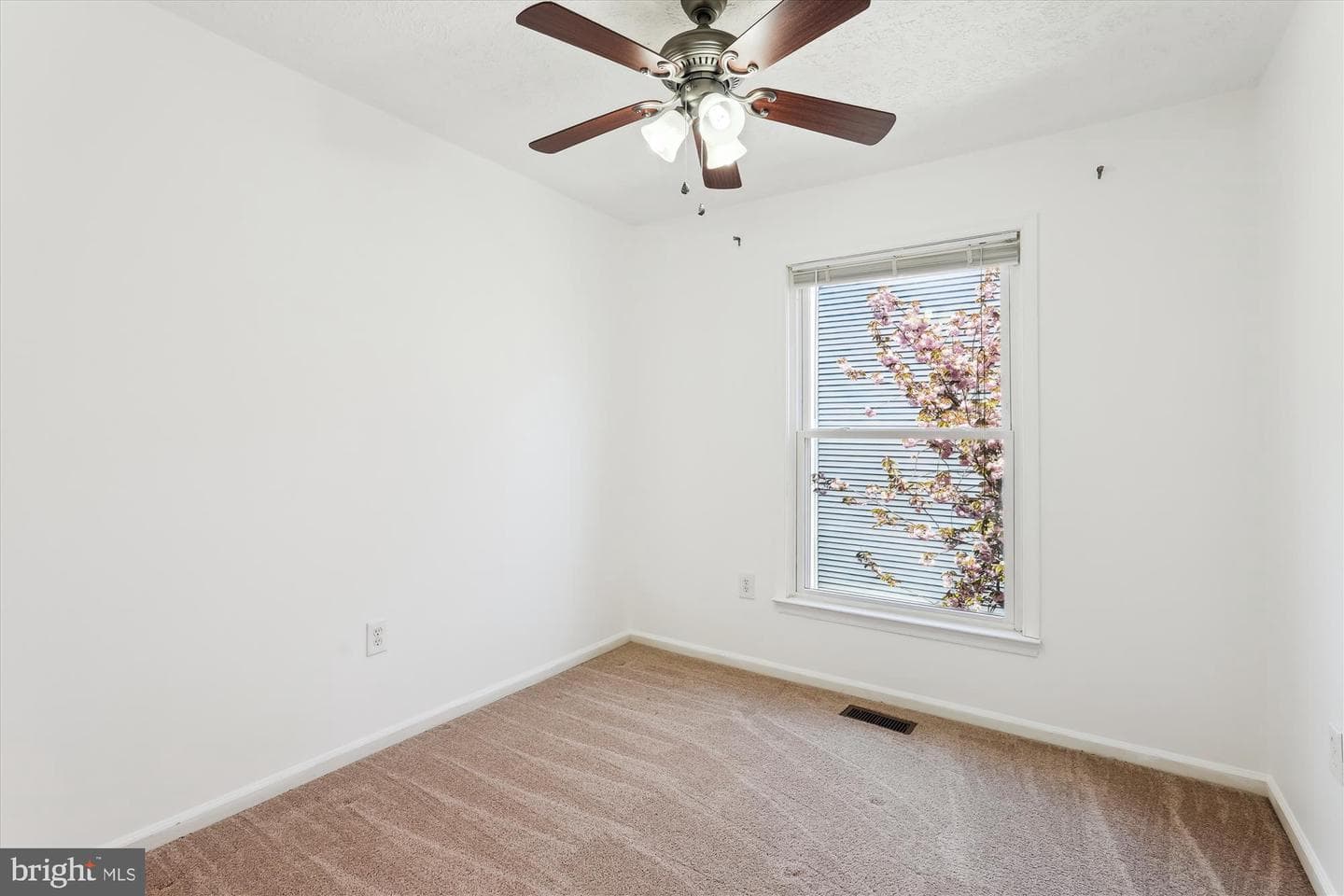 20412 Sunbright Lane photo 16
