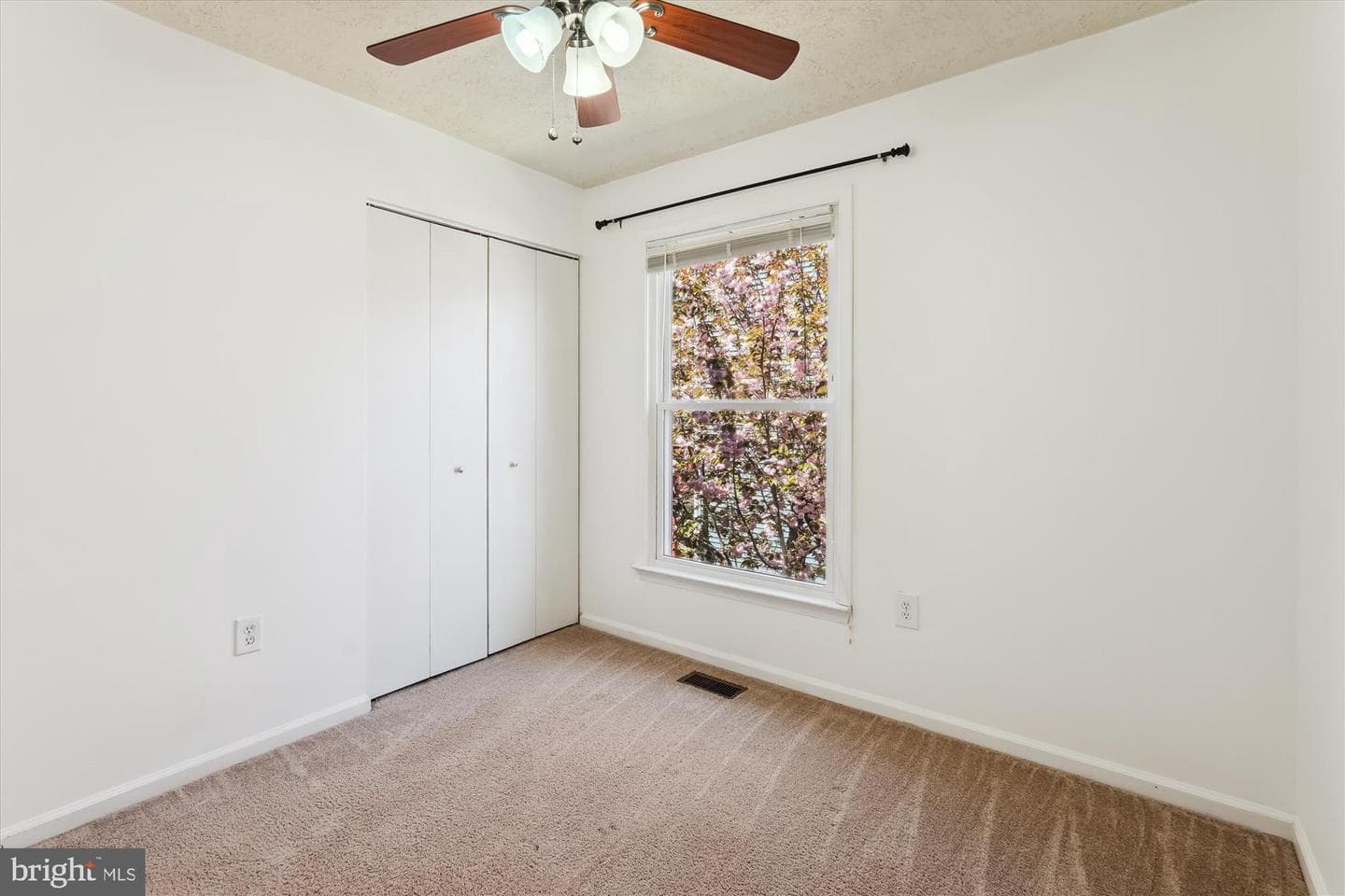 20412 Sunbright Lane photo 17