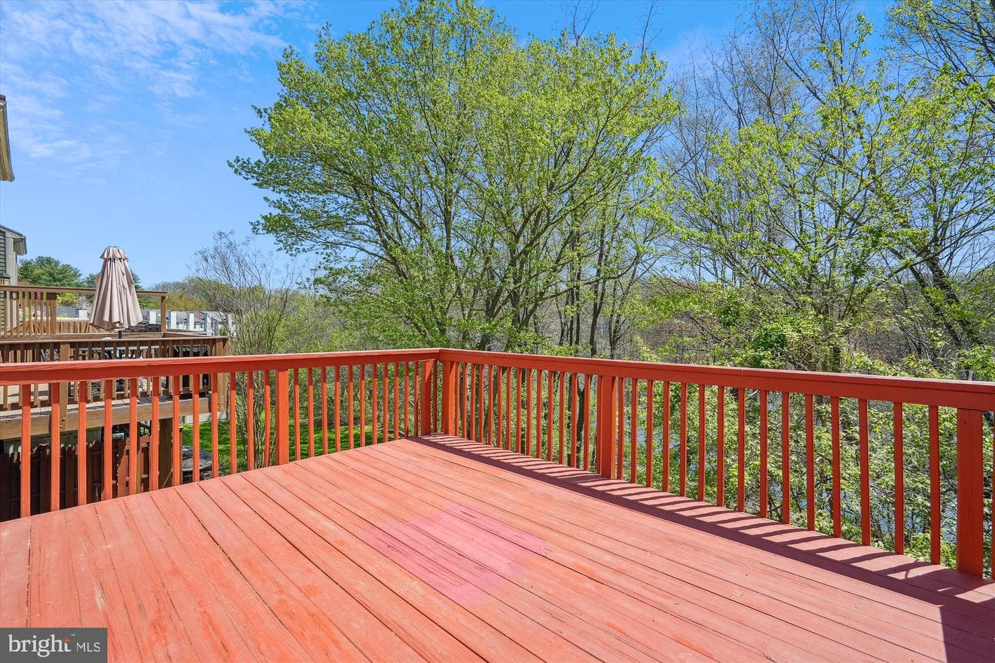 20412 Sunbright Lane photo 4