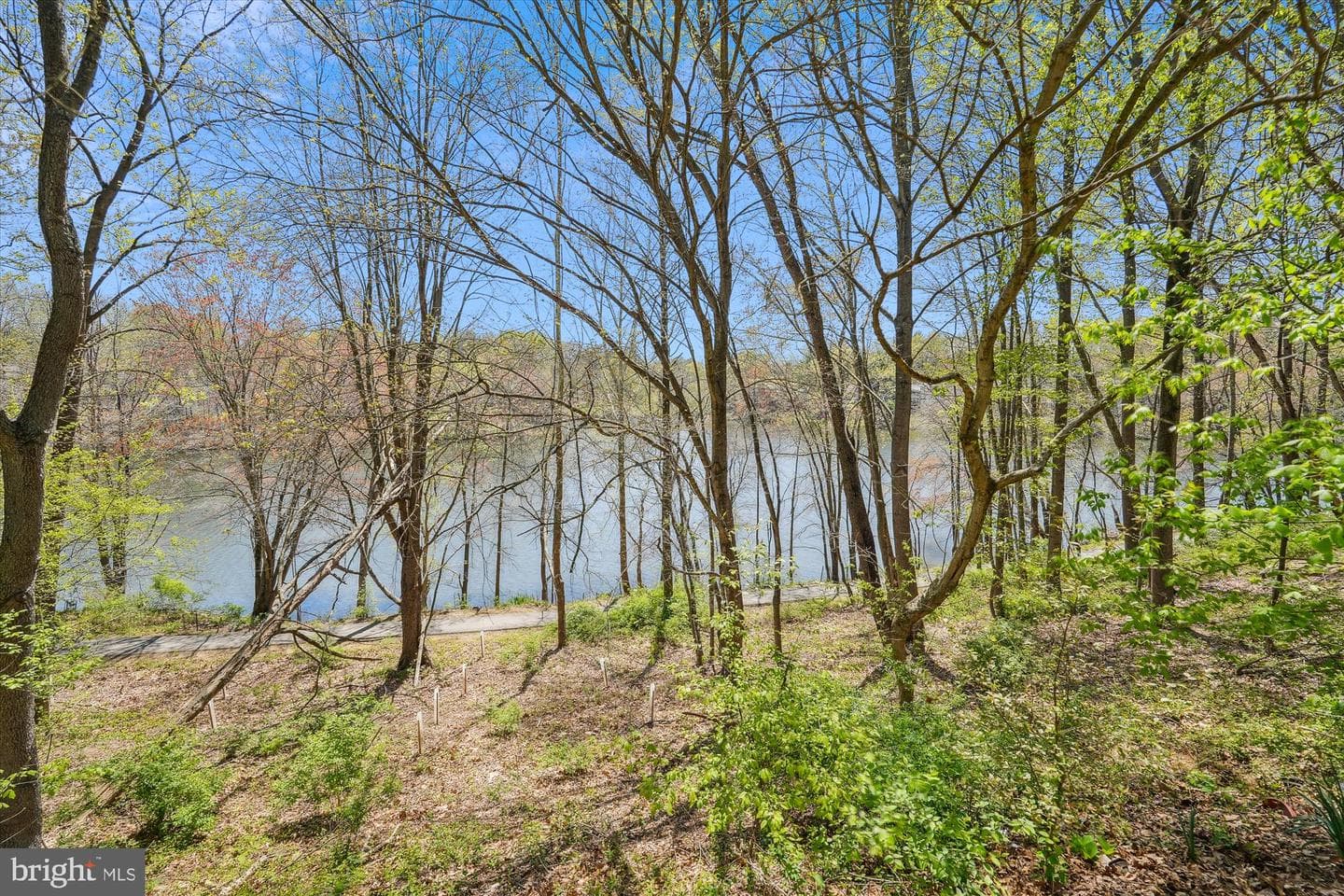 20412 Sunbright Lane photo 5