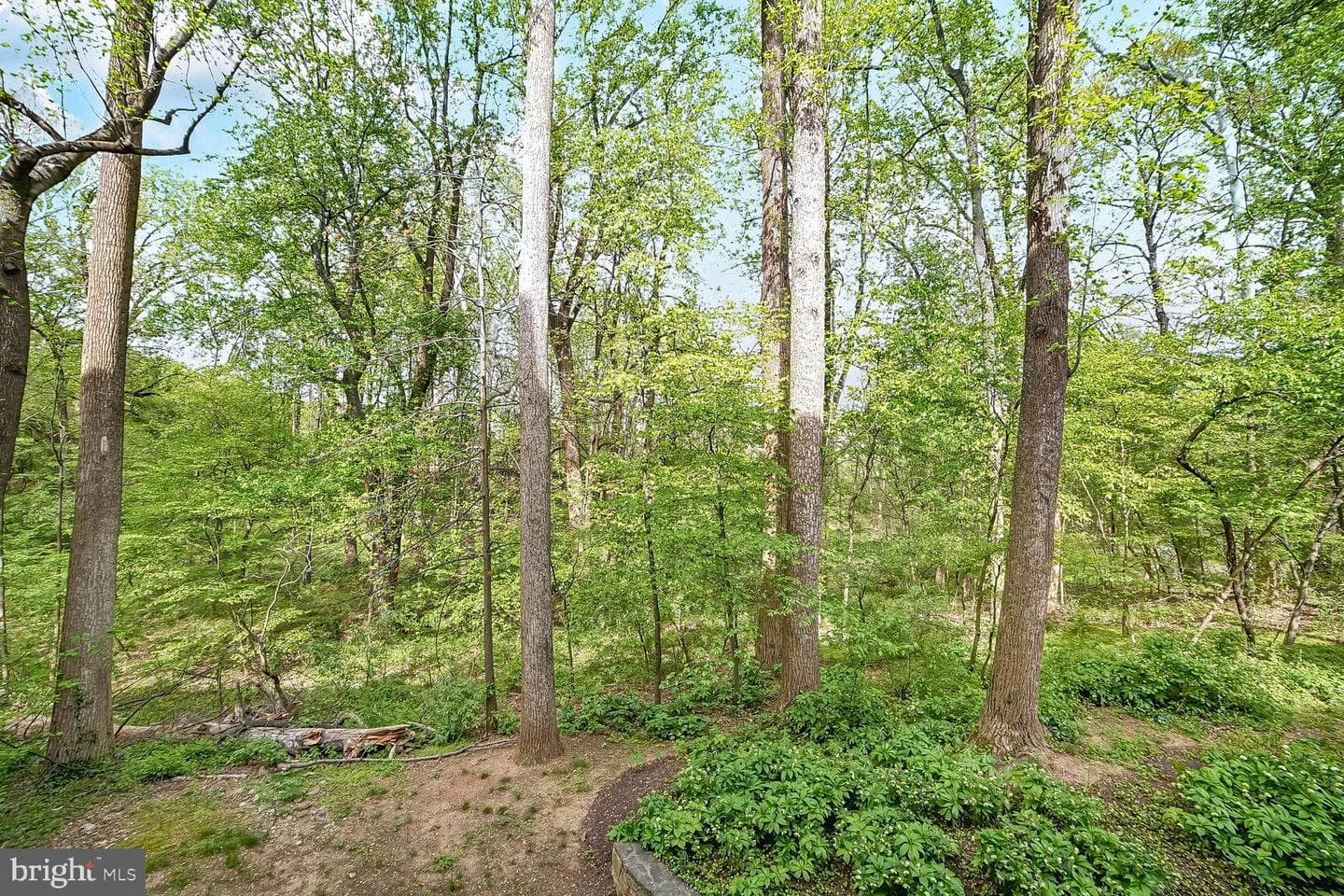 15311 Diamond Cove Terrace #5k photo 32