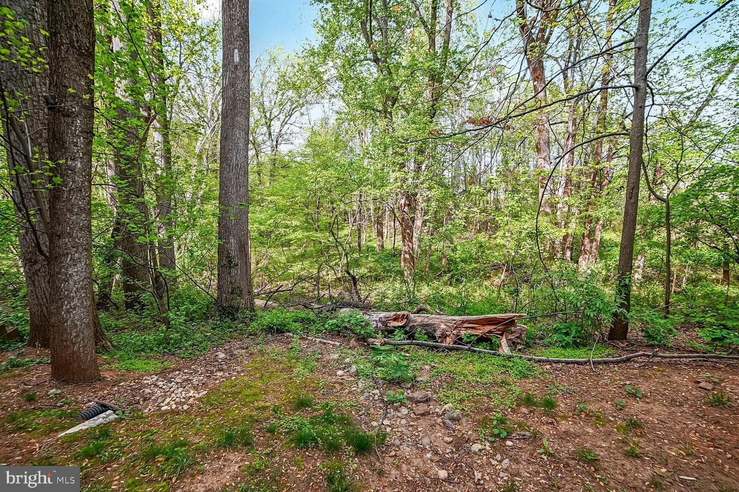 15311 Diamond Cove Terrace #5k photo 33