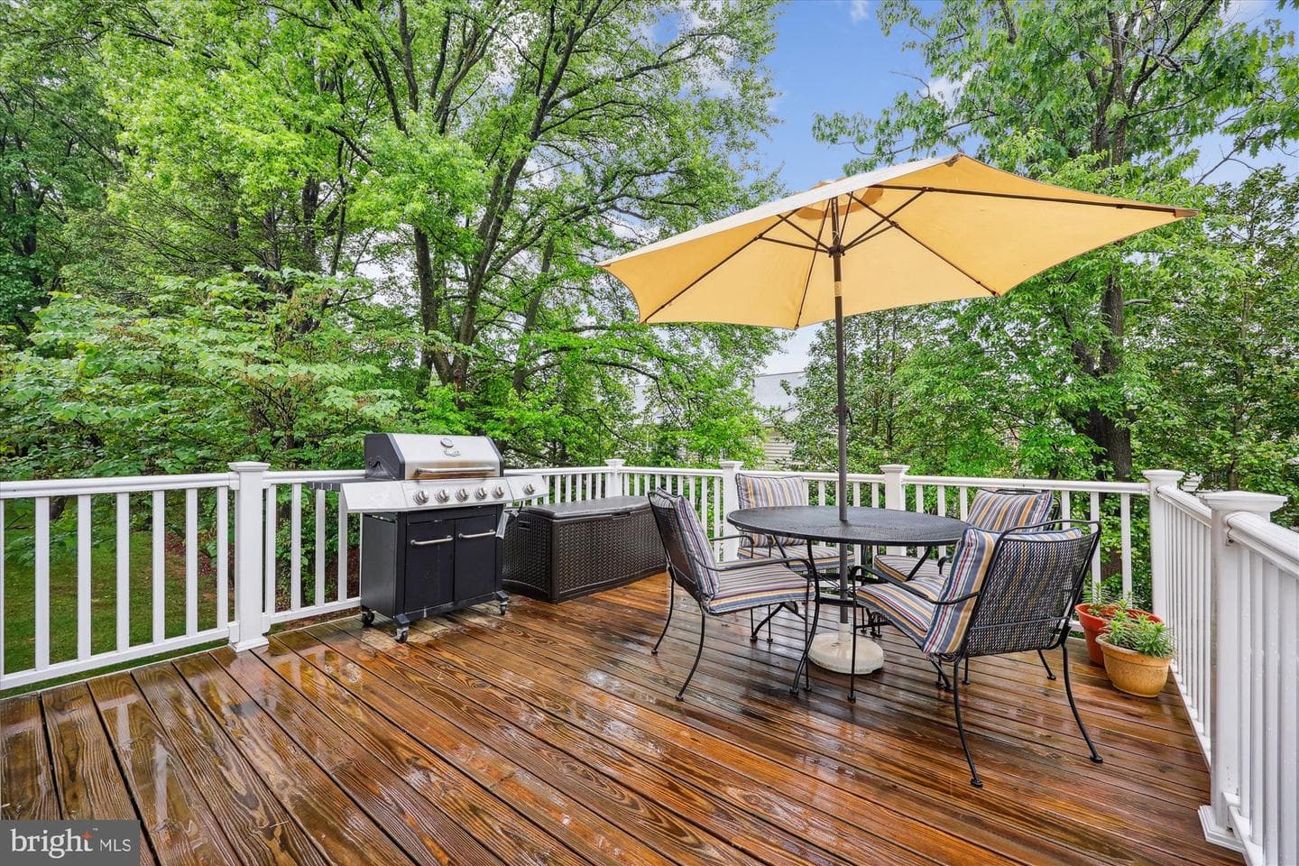 509 Autumn Wind Way photo 21