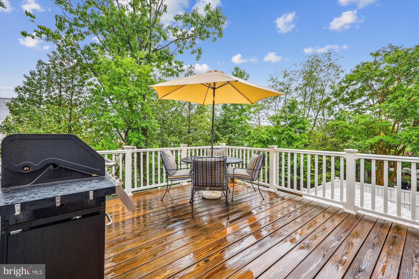 509 Autumn Wind Way photo 22
