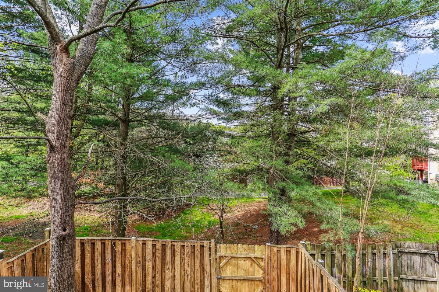 18506 Eagles Roost Drive photo 22