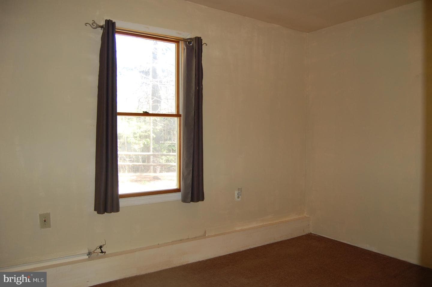 13821 Wisteria Drive photo 20