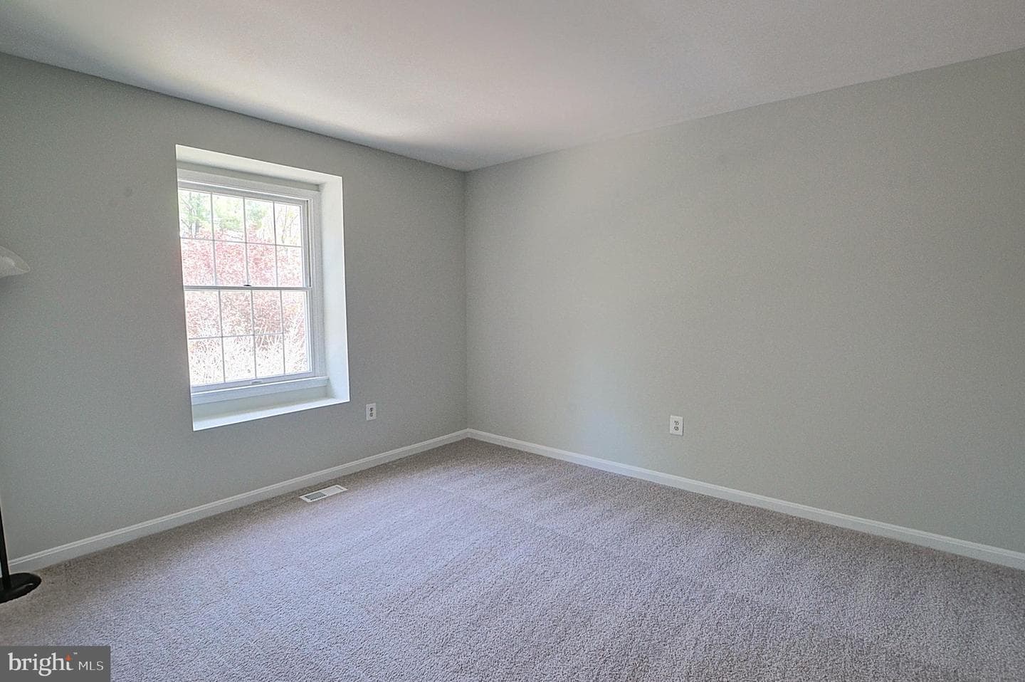 7 Catoctin Court photo 18