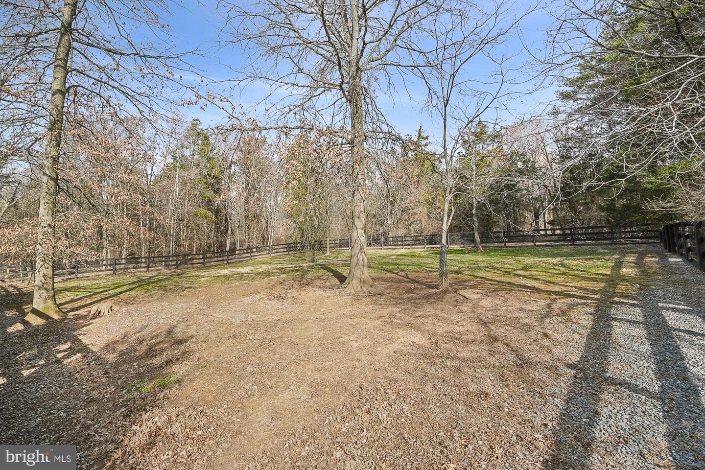 14920 Mount Nebo Road photo 100